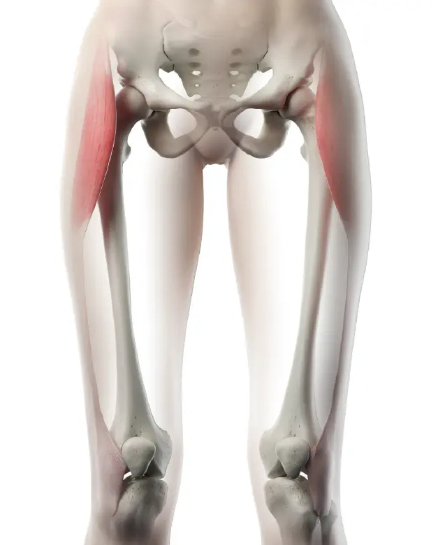 Tensore della fascia lata