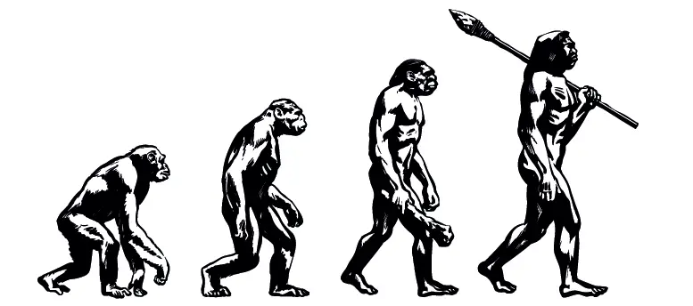 Evoluzione umana