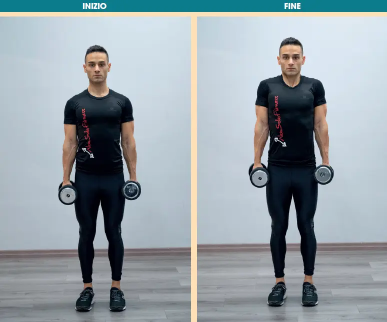 Elevazione delle spalle (shrugs)