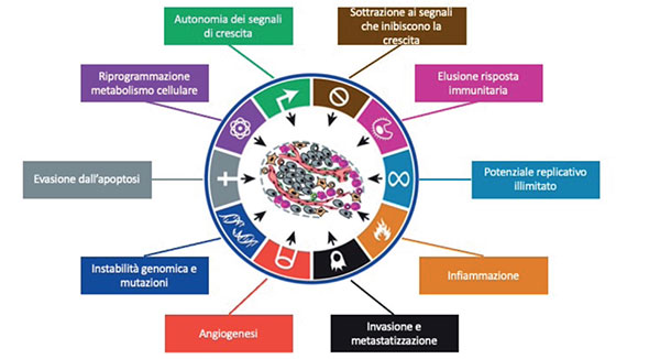 I segni distintivi del cancro. Modificato da (Hanahan & Weinberg, 2011)